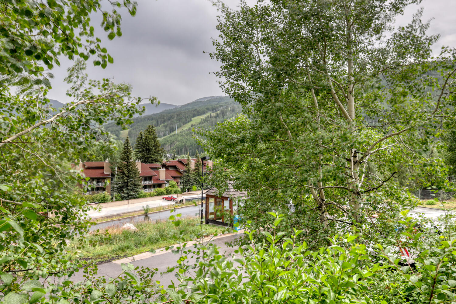 1063 Vail View Drive - 1
